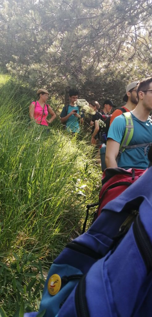 Escursionisti lungo il sentiero tra l'erba alta